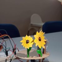 Progetto Arduino: girasole artificiale